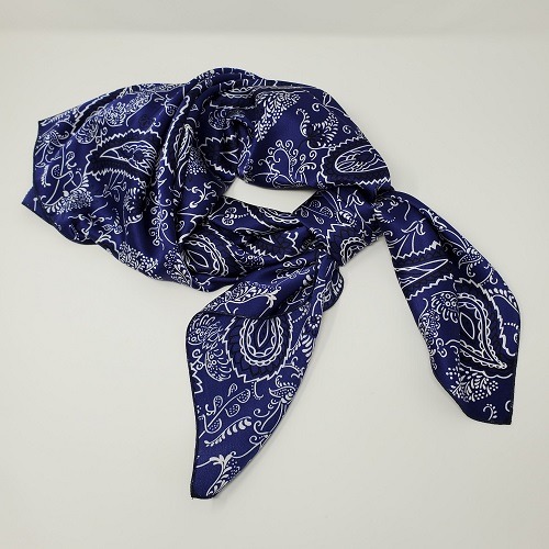 Charmeuse: Traditional Paisley Blue - Cowboy Images 